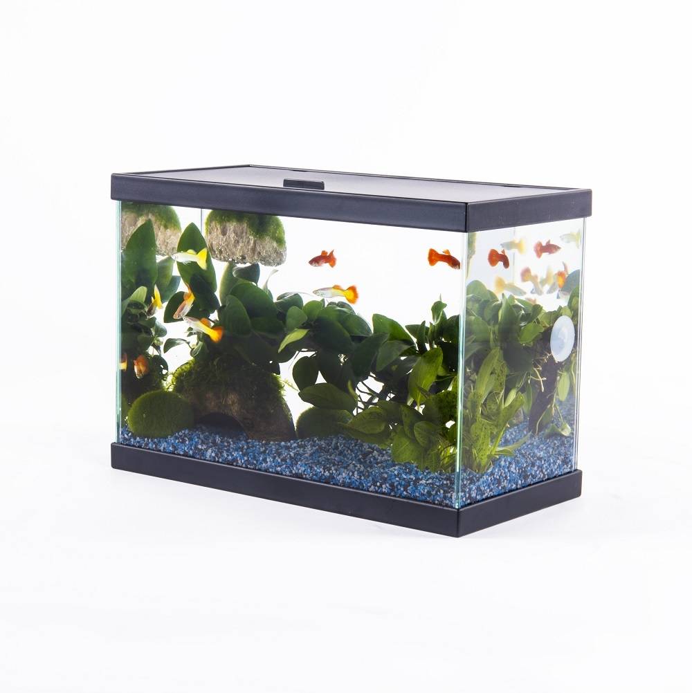 Inwa - Inwa - Aquarium Start 35 pack pur Noir - 13 Litres - Image 4