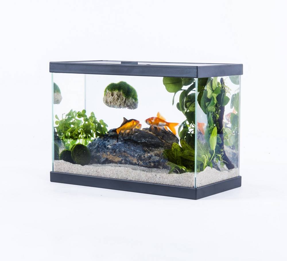 Inwa - Inwa - Aquarium Start 35 pack pur Noir - 13 Litres - Image 3
