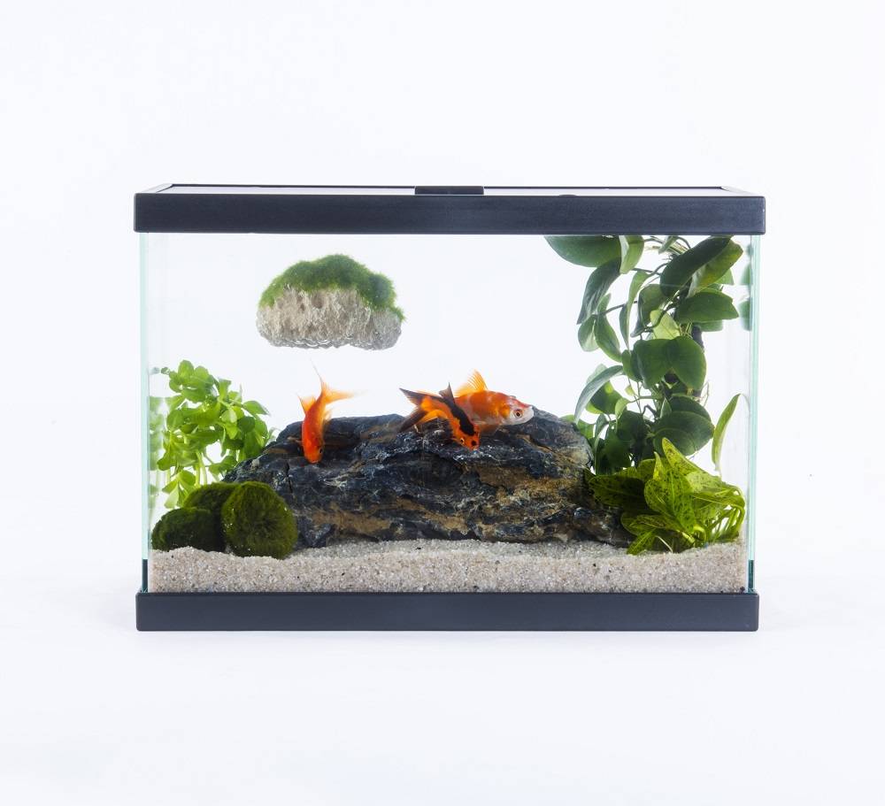 Inwa - Inwa - Aquarium Start 35 pack pur Noir - 13 Litres - Image 2