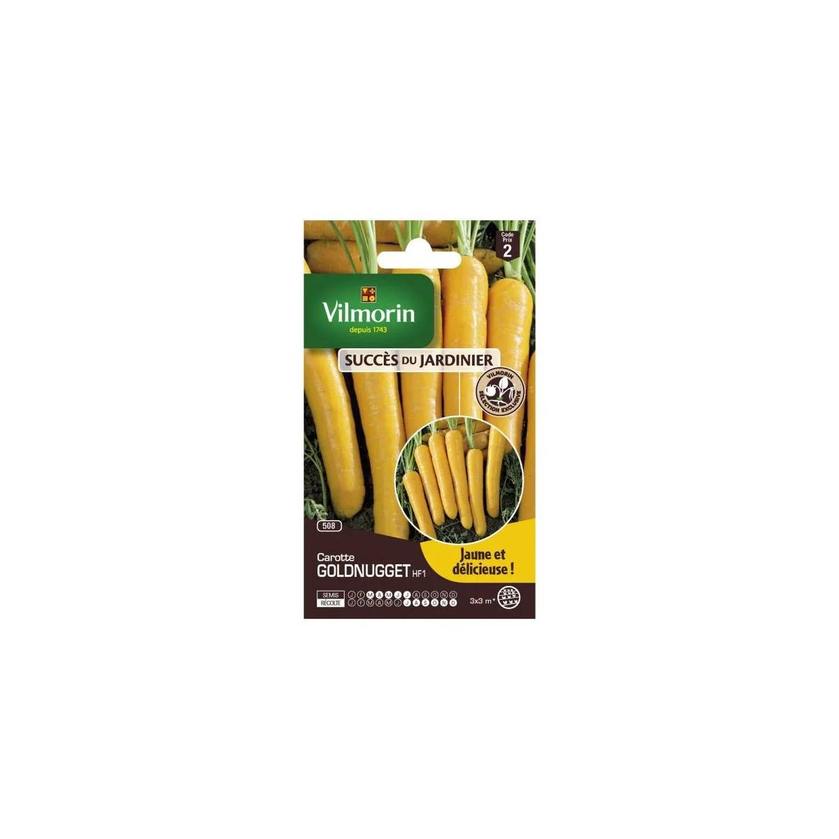 Vilmorin - Graines de carottes Goldnugget – VILMORIN - Image 2