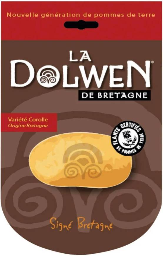 Pommes de terre dolwen sachet 25 plants – Dolwen - Image 2