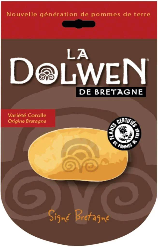 Pommes de terre dolwen sachet 25 plants – Dolwen - Image 2