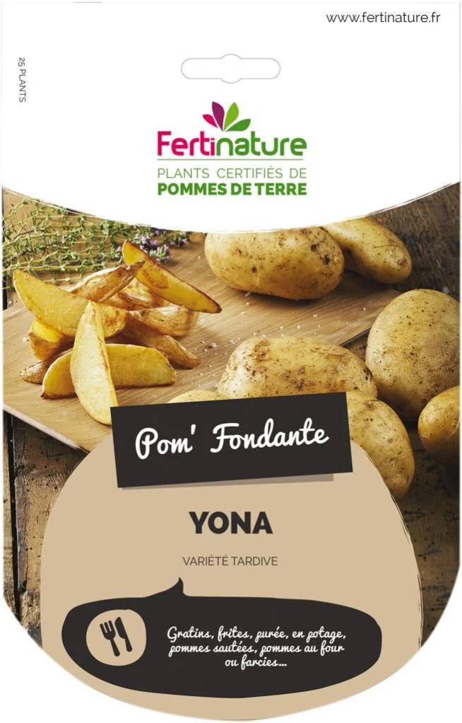 Sachet pommes de terre Yona 25 plants 25/32 - FERTINATURE - Image 2