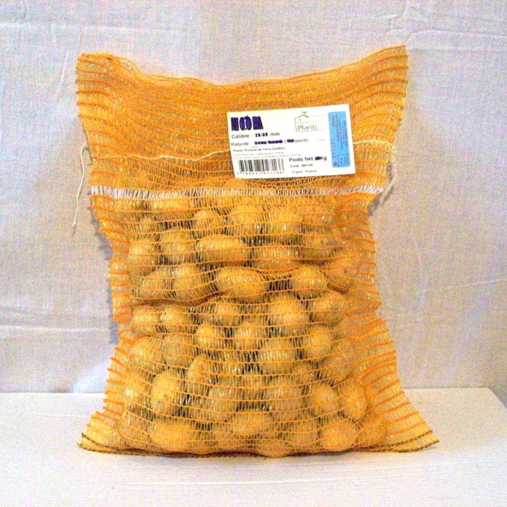 Pomme de terre demi-hâtive bintje sac 3 kg - FERTINATURE