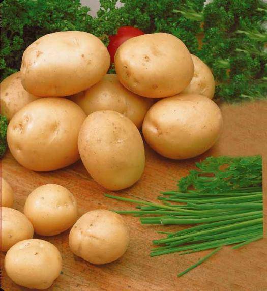Sachet pomme de terre Sirtema 28/40 - 3 kg
