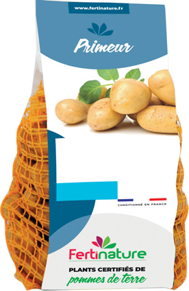 Pomme de terre Sirtema 28/40 1,5 kg - FERTINATURE SARL