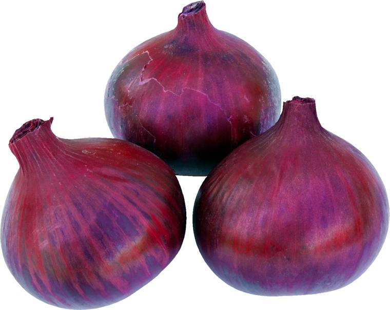 Bulbos Cebolla Roja Comred 14/21 Malla 250 g