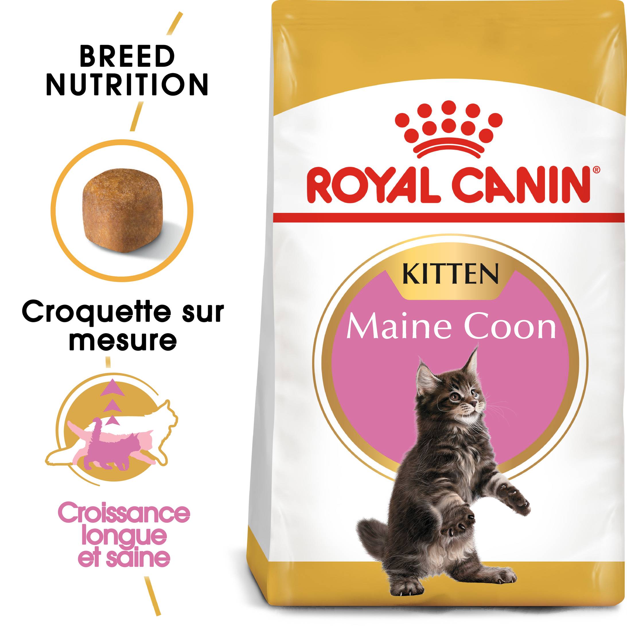 Royal Canin - Croquettes chaton Maine Coon Kitten - ROYAL CANIN