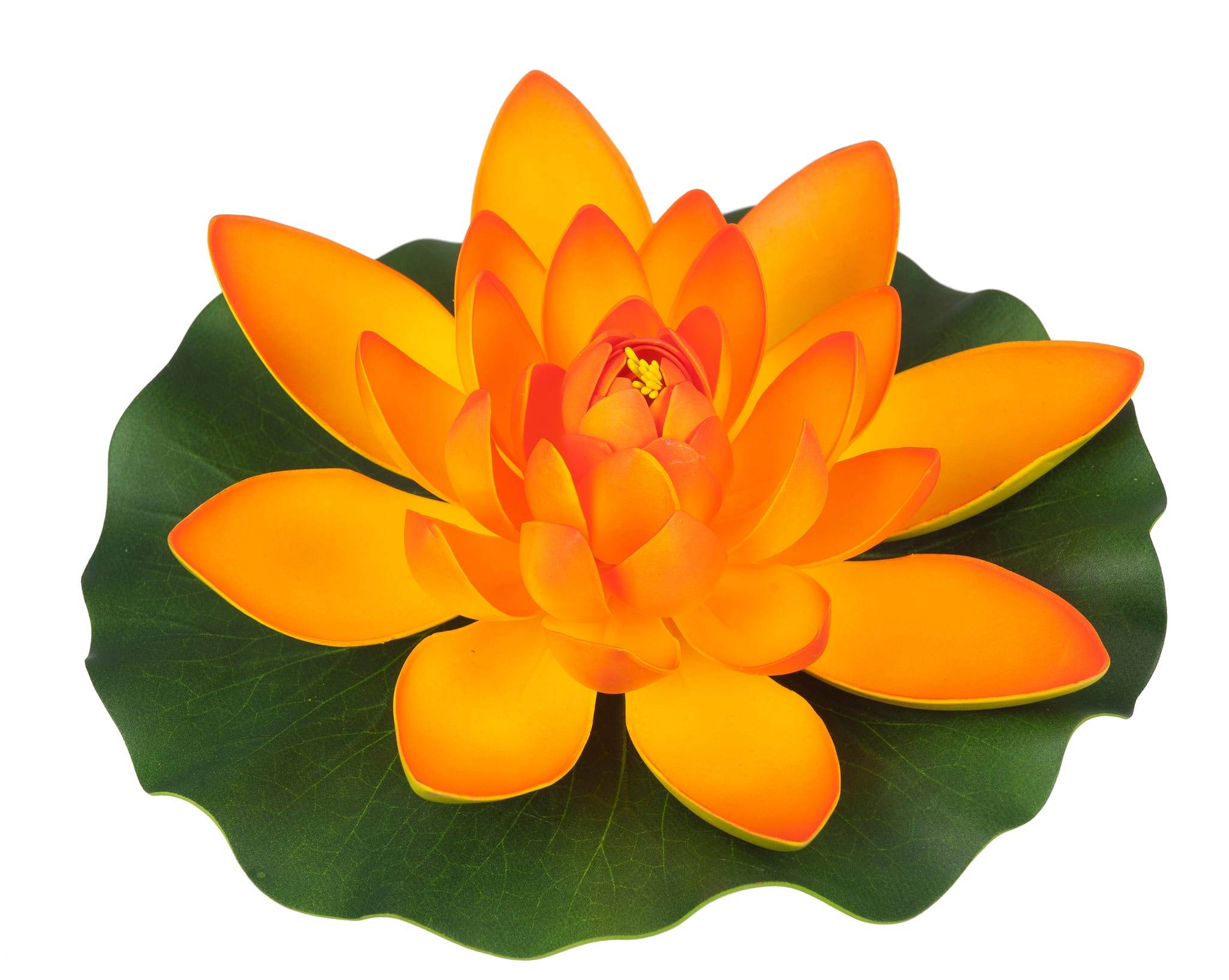 Ubbink - Nénuphar 28 cm - jaune/orange