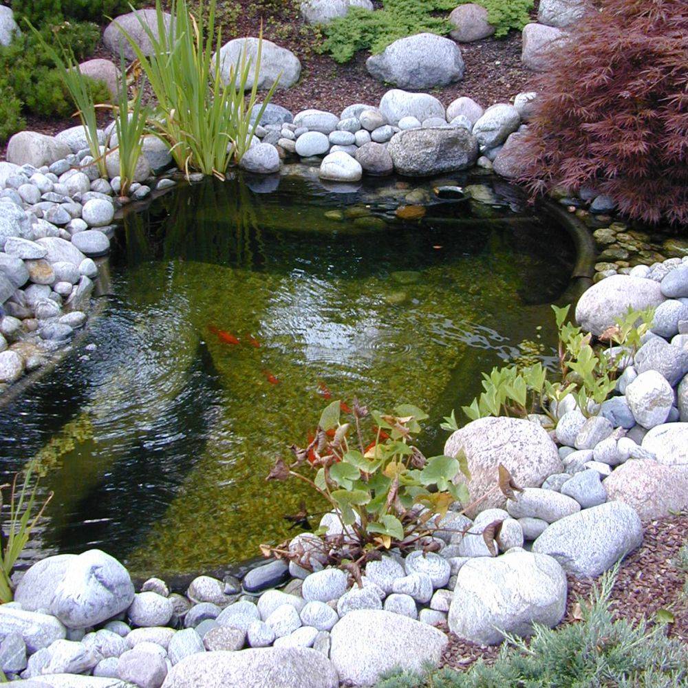 Ubbink - Bassin de jardin préformé Start 250L - Ubbink - Imagen 4