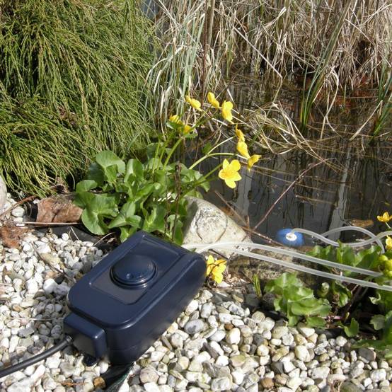 Ubbink - Pompe d'aération Air 1000 Outdoor pour bassin de jardin - Ubbink - Image 4