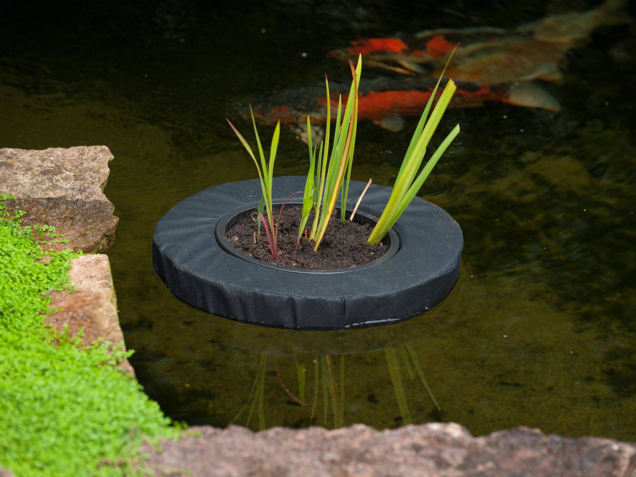 Ubbink - Poche à plante flottante – UBBINK - Imagen 3
