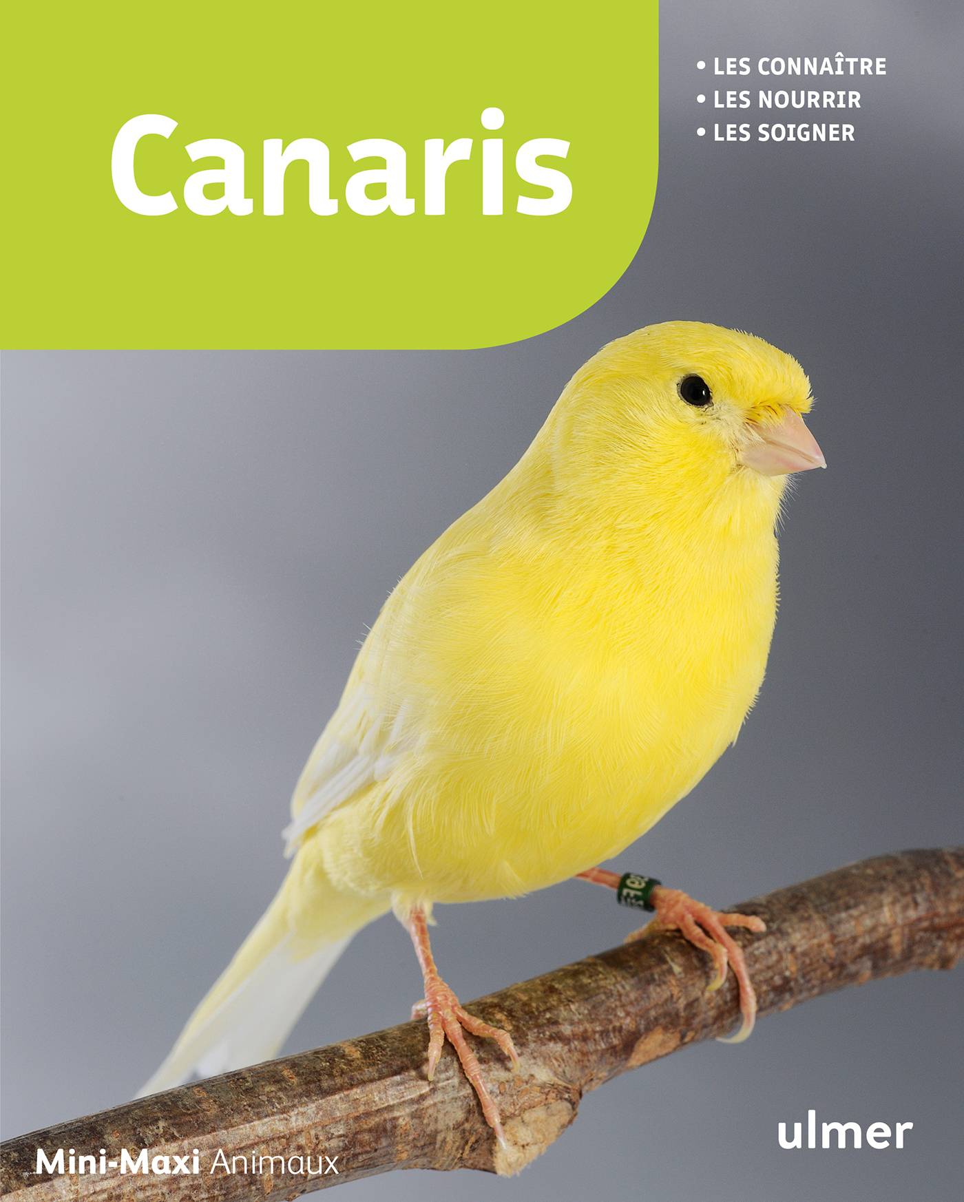 Ulmer - Canaris