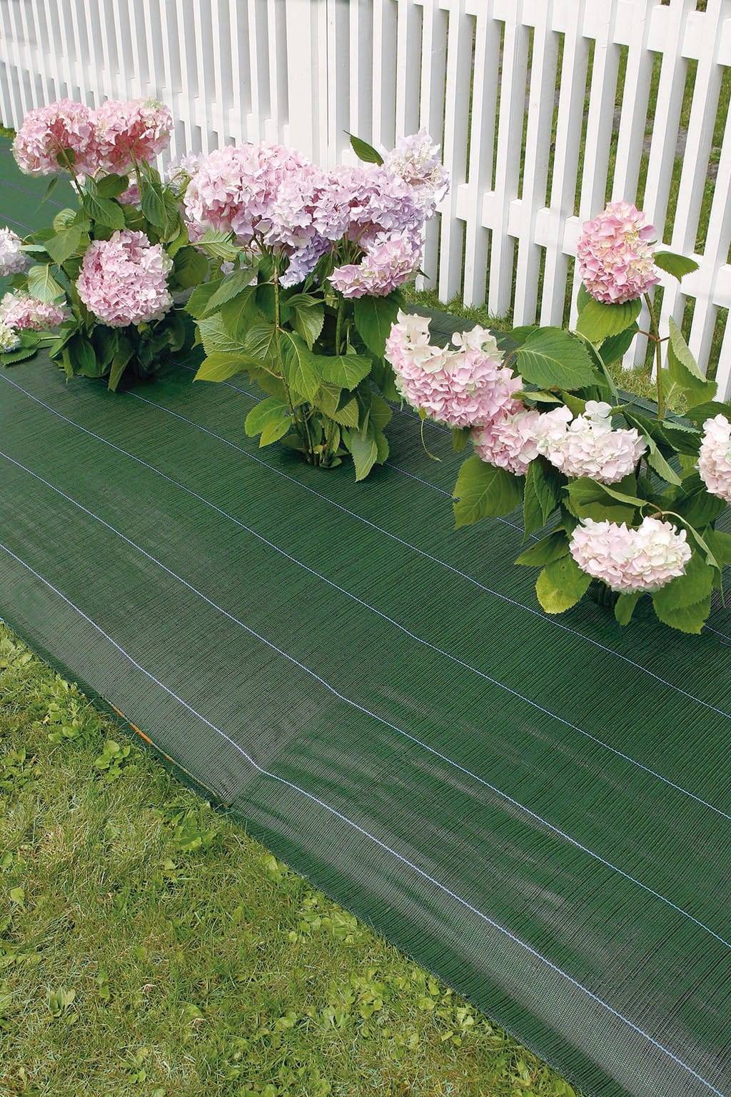 Nortène - WEEDSOL Toile de paillage  vert 1,25X25m