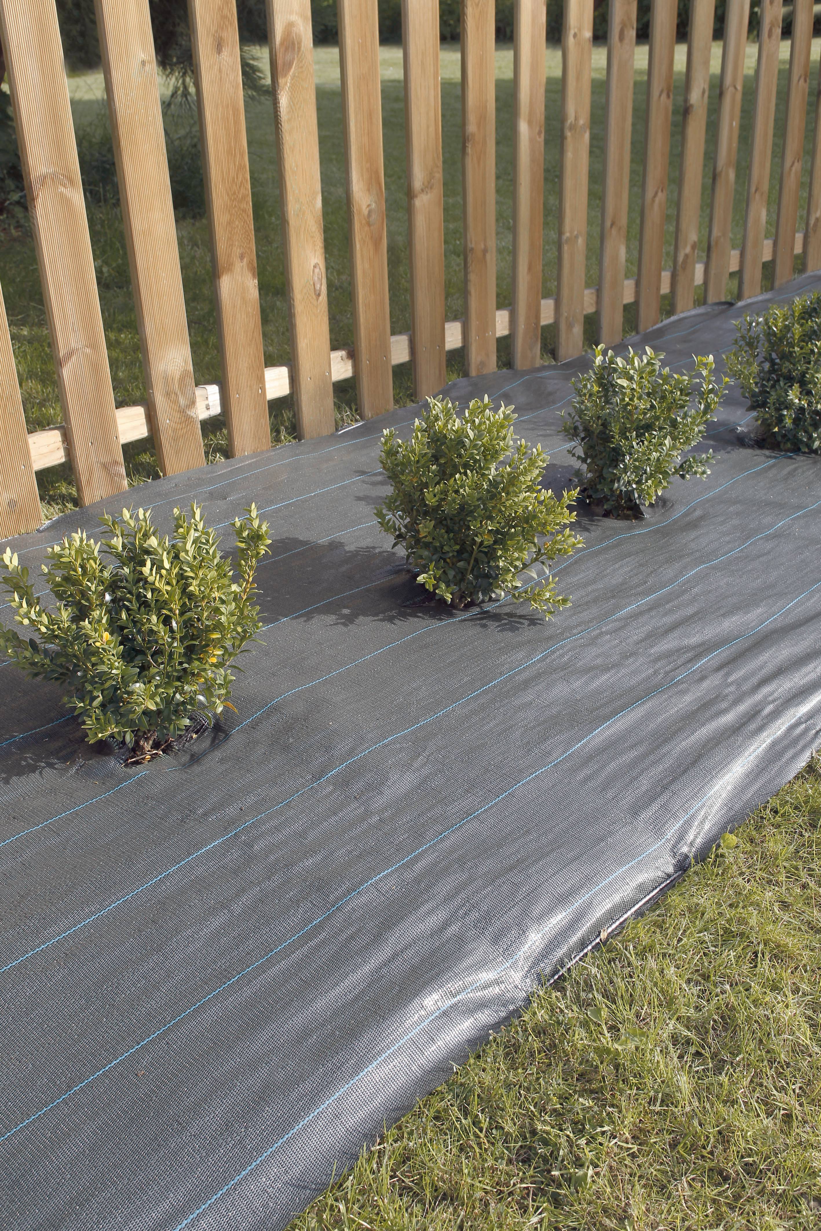 Nortène - WEEDSOL Toile de paillage  vert 1,25X25m - Imagen 2