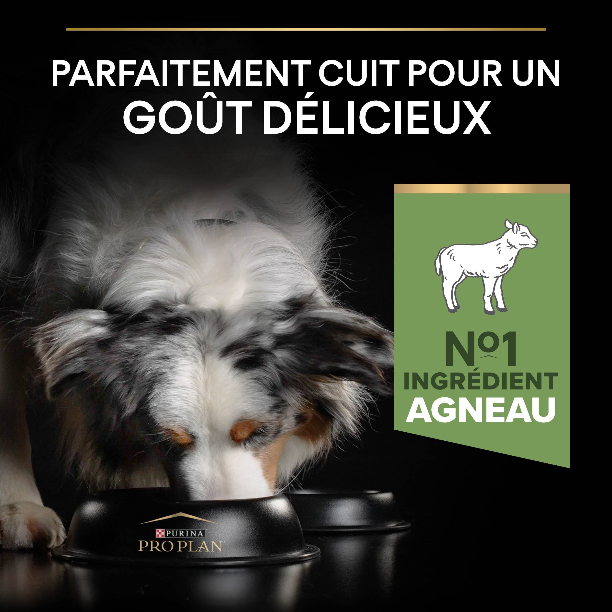 Purina Pro Plan - Croquettes chien Medium Adulte Sensitive Digestion Agneau 14 kg - PRO PLAN - Imagen 6
