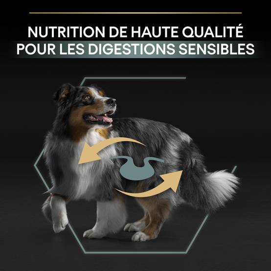 Purina Pro Plan - Croquettes chien Medium Adulte Sensitive Digestion Agneau 14 kg - PRO PLAN - Image 8