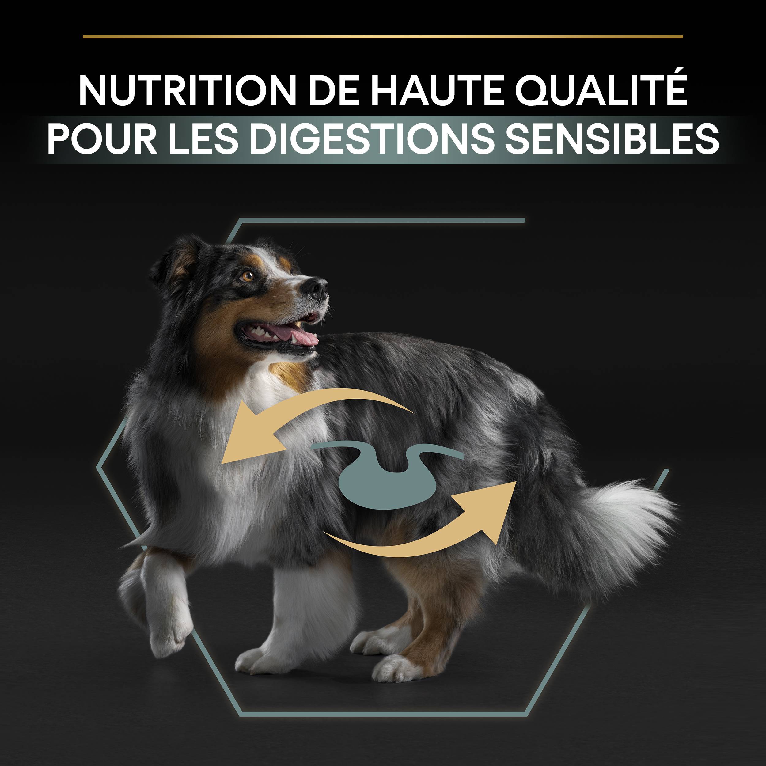 Purina Pro Plan - Croquettes chien Medium Adulte Sensitive Digestion Agneau 14 kg - PRO PLAN - Imagen 8