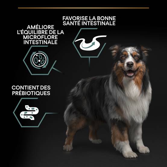 Purina Pro Plan - Croquettes chien Medium Adulte Sensitive Digestion Agneau 14 kg - PRO PLAN - Image 2