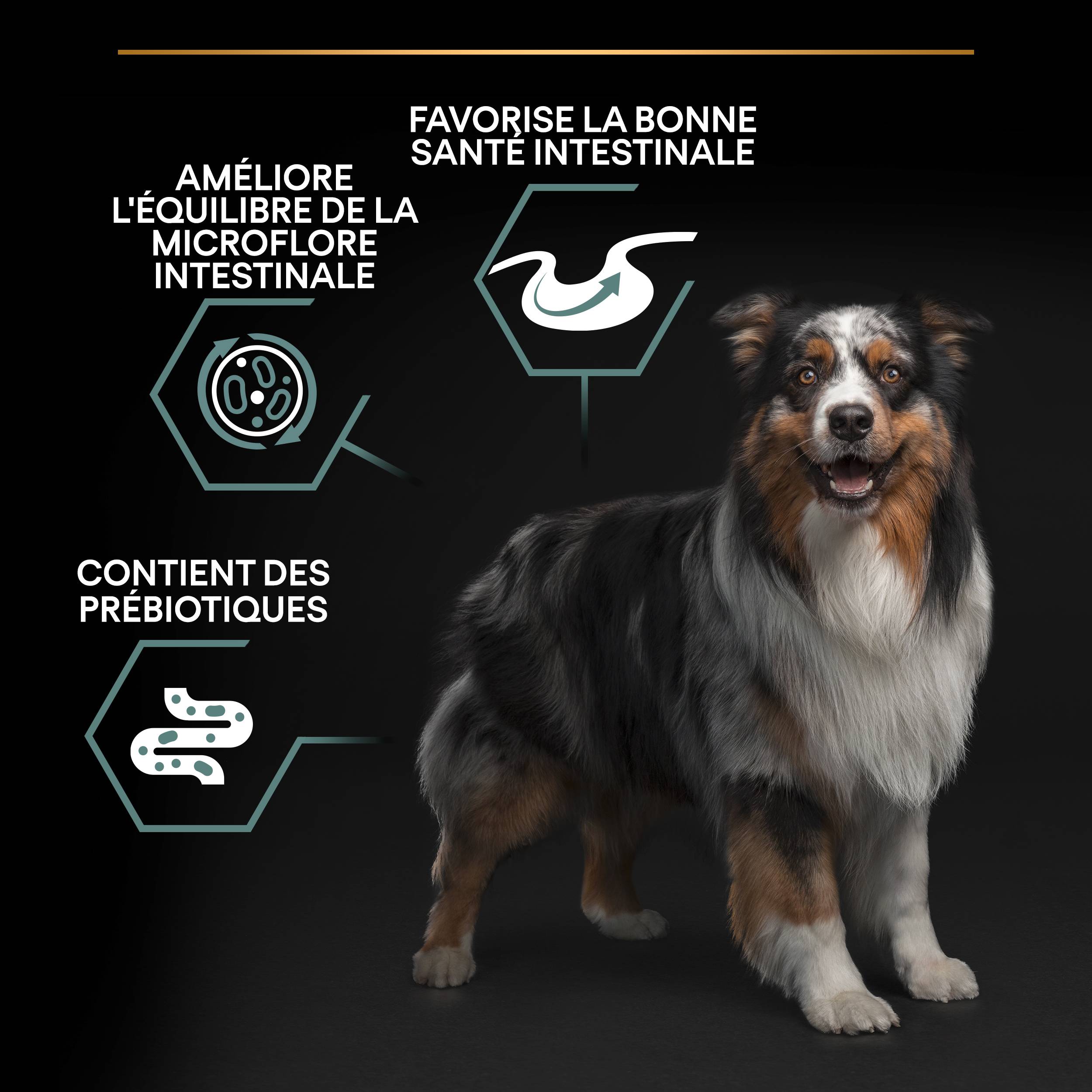 Purina Pro Plan - Croquettes chien Medium Adulte Sensitive Digestion Agneau 14 kg - PRO PLAN - Imagen 2