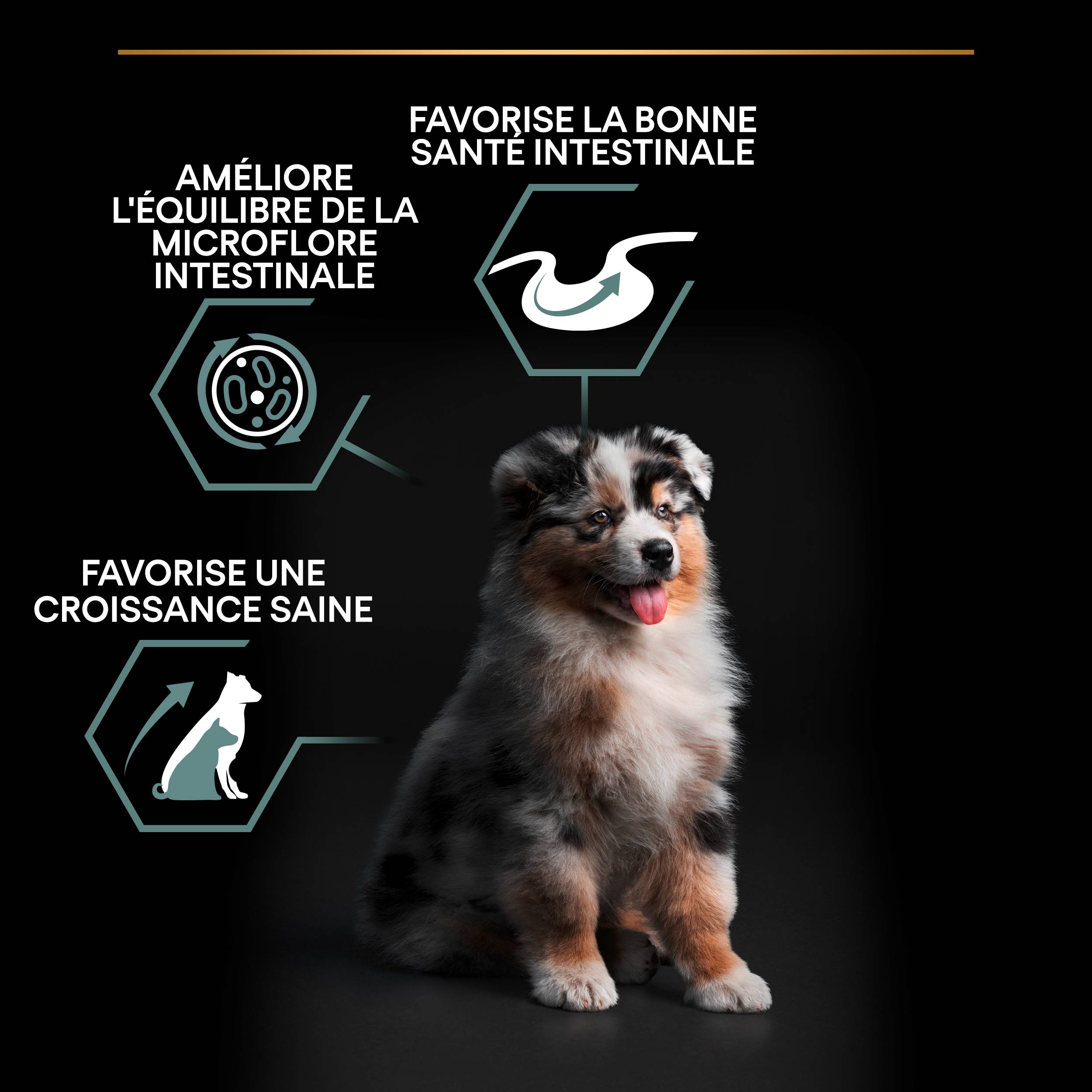 Purina Pro Plan - Croquettes chiot Medium Sensitive Skin Agneau 12 kg - PRO PLAN - Image 4