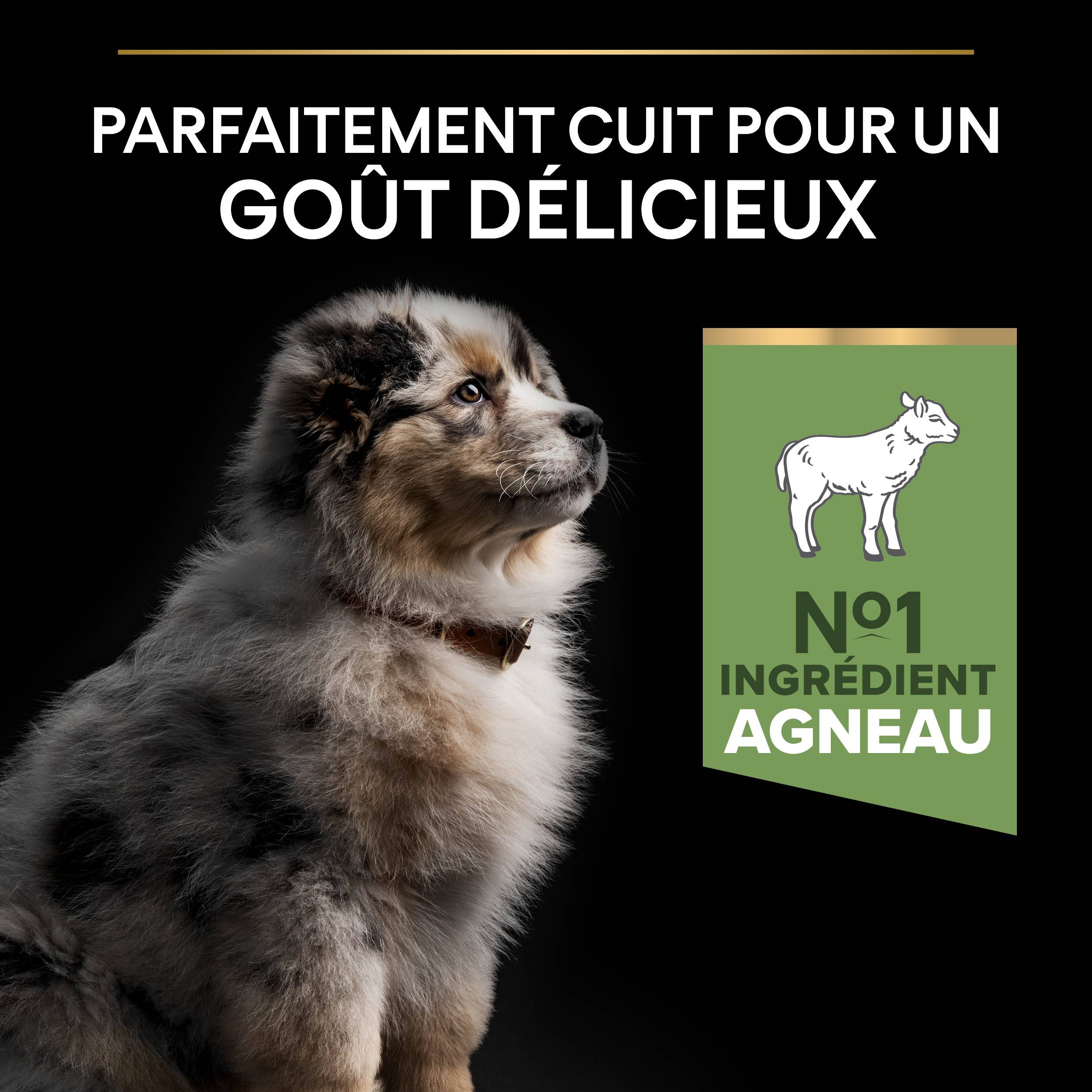Purina Pro Plan - Croquettes chiot Medium Sensitive Skin Agneau 12 kg - PRO PLAN - Image 9