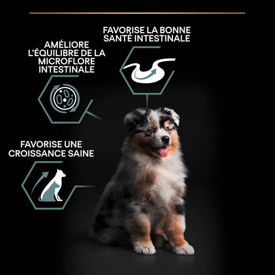 Purina Pro Plan - Croquettes chiot Medium Sensitive Skin Agneau 12 kg - PRO PLAN - Image 13