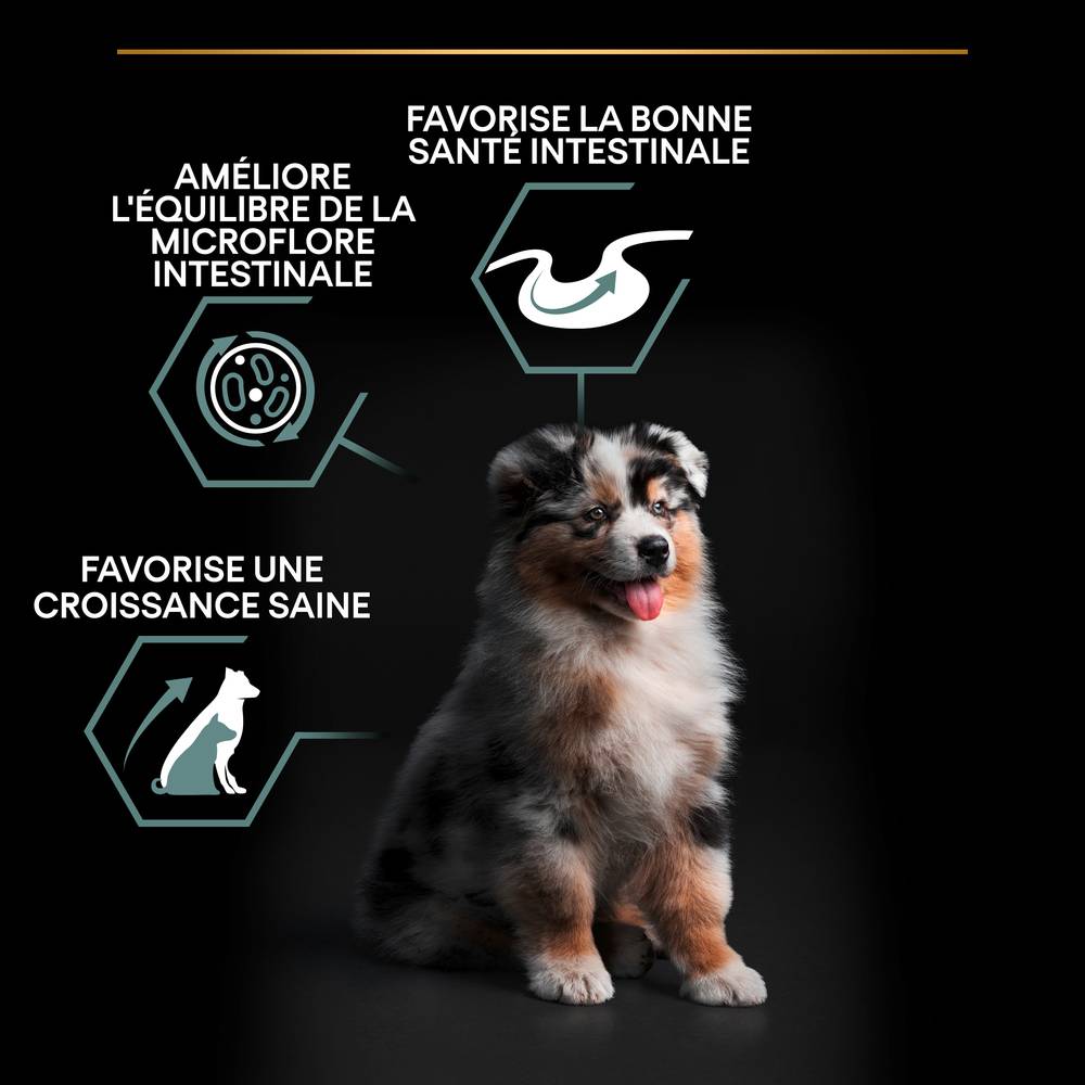 Purina Pro Plan - Croquettes chiot Medium Sensitive Skin Agneau 12 kg - PRO PLAN - Image 13