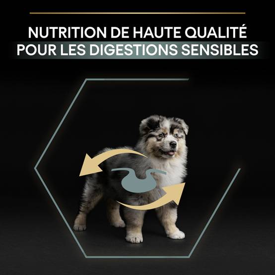 Purina Pro Plan - Croquettes chiot Medium Sensitive Skin Agneau 12 kg - PRO PLAN - Image 12