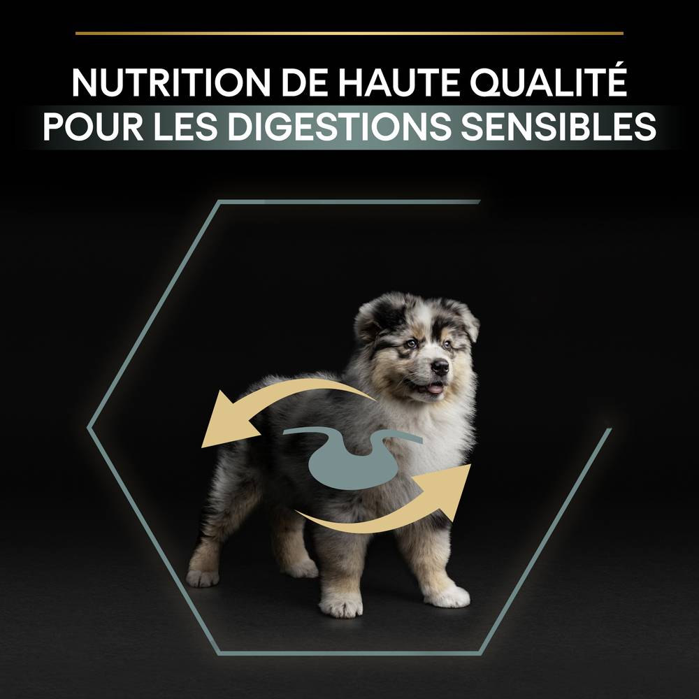 Purina Pro Plan - Croquettes chiot Medium Sensitive Skin Agneau 12 kg - PRO PLAN - Image 12