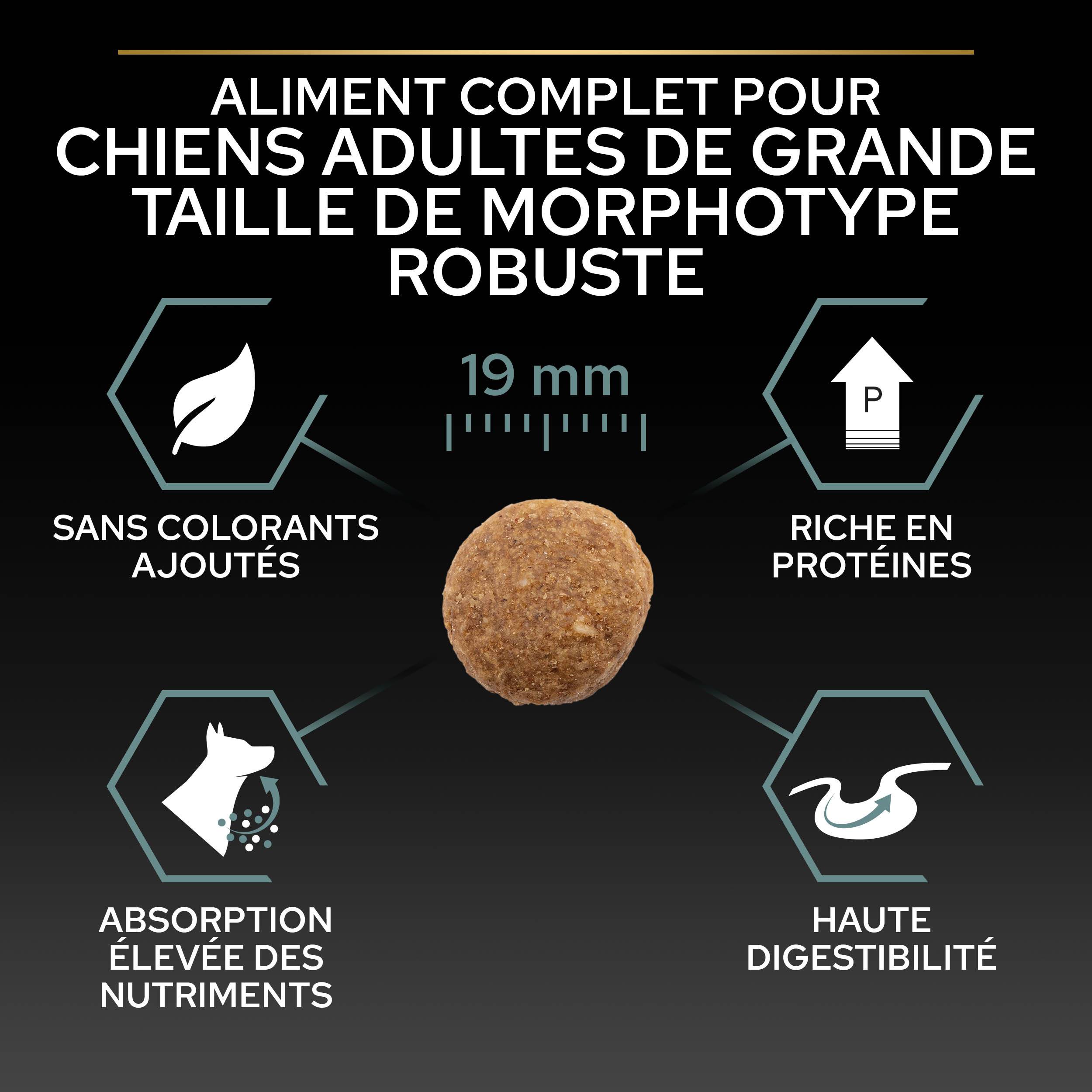 Purina Pro Plan - Croquettes chien Adulte Large Robuste Sensitive Digestion Agneau 14 kg - PRO PLAN - Image 9