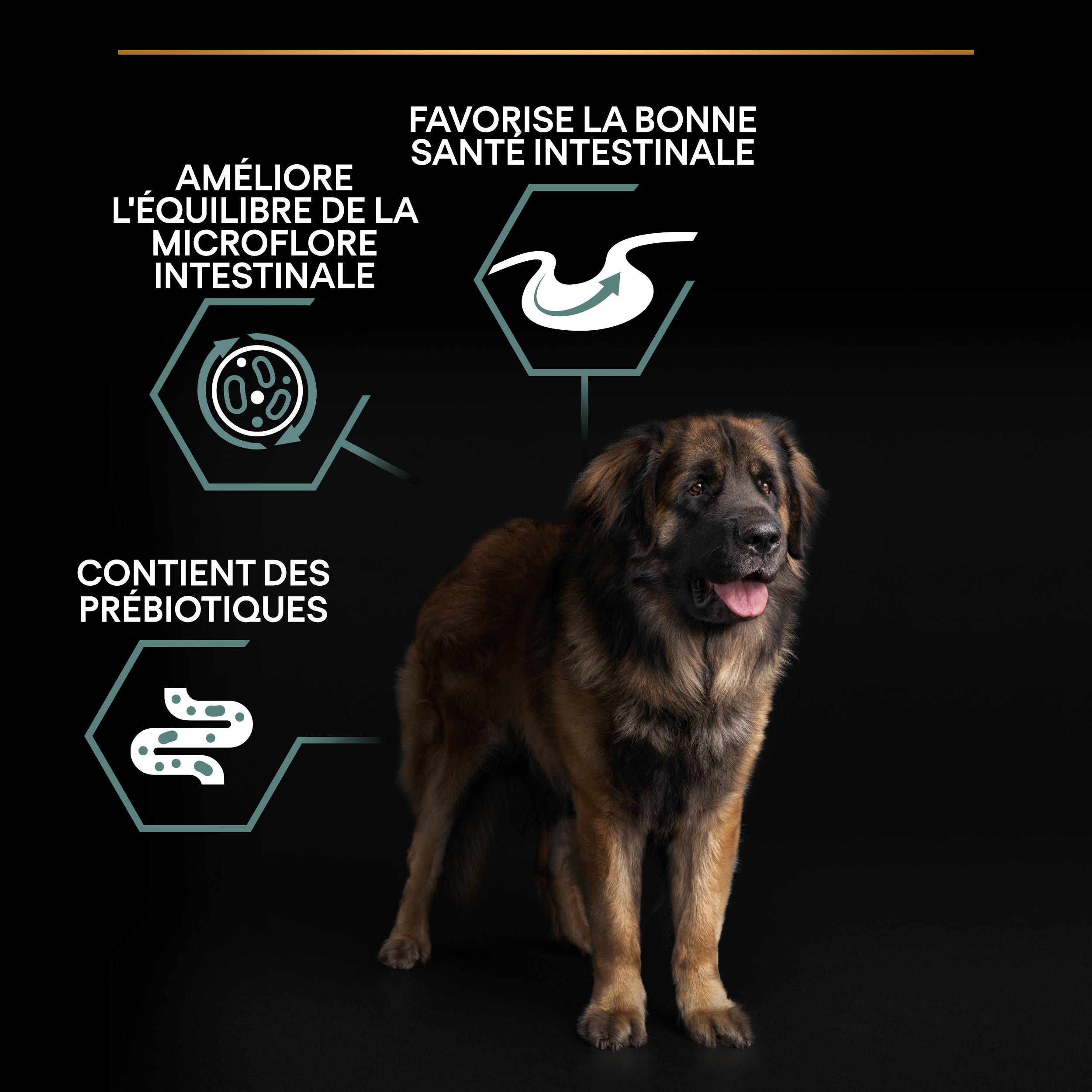 Purina Pro Plan - Croquettes chien Adulte Large Robuste Sensitive Digestion Agneau 14 kg - PRO PLAN - Image 3