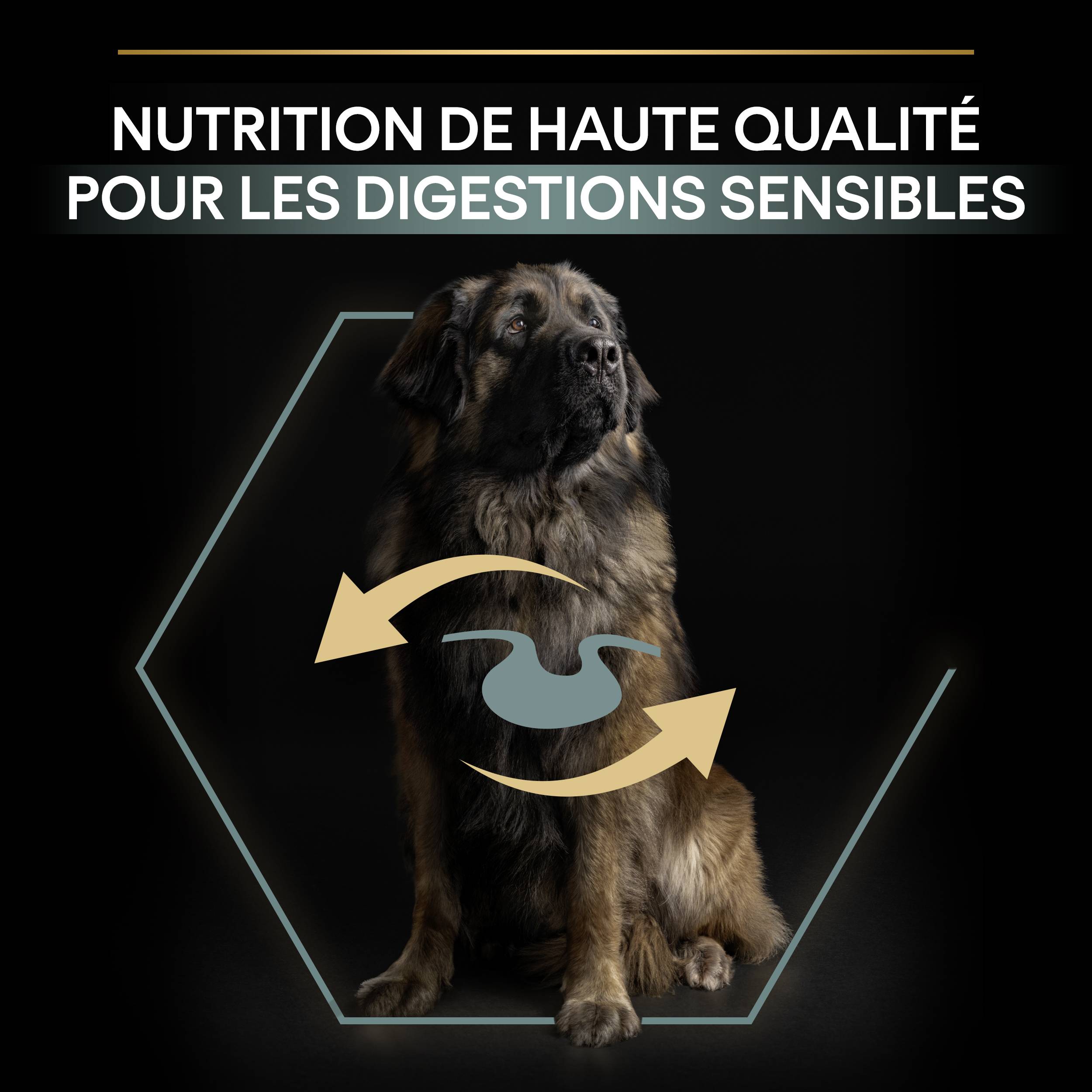 Purina Pro Plan - Croquettes chien Adulte Large Robuste Sensitive Digestion Agneau 14 kg - PRO PLAN - Image 4