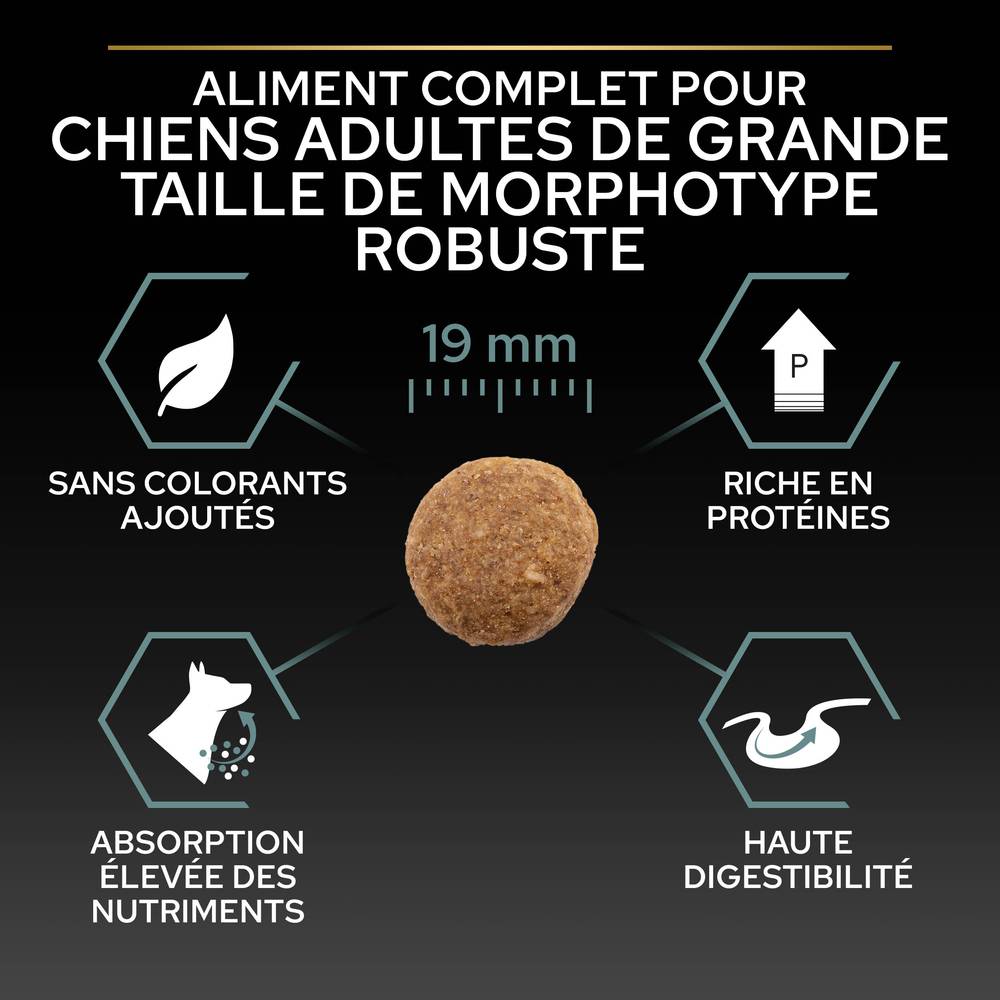 Purina Pro Plan - Croquettes chien Adulte Large Robuste Sensitive Digestion Agneau 14 kg - PRO PLAN - Image 14