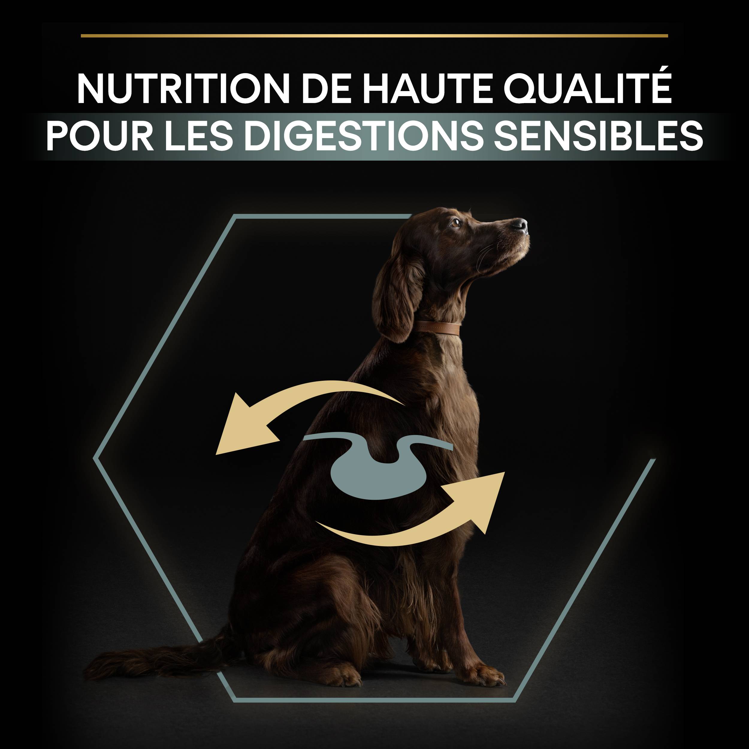 Purina Pro Plan - Croquettes chien Adulte Large Athletic Sensitive Digestion Agneau 14 kg - PRO PLAN - Image 10