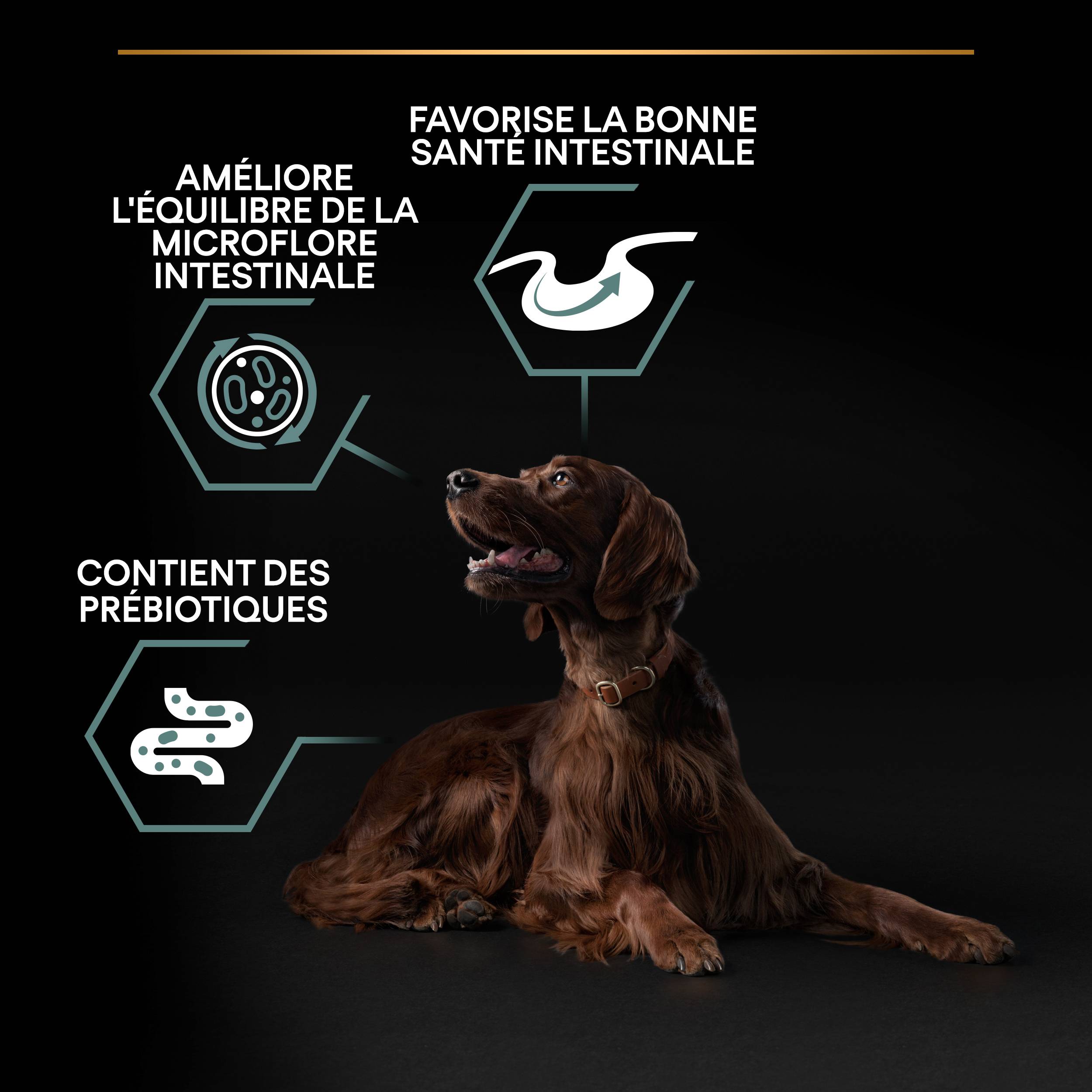 Purina Pro Plan - Croquettes chien Adulte Large Athletic Sensitive Digestion Agneau 14 kg - PRO PLAN - Image 5