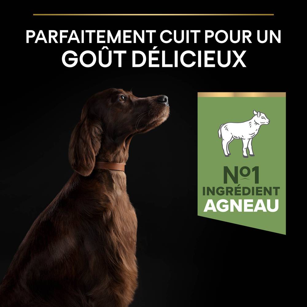 Purina Pro Plan - Croquettes chien Adulte Large Athletic Sensitive Digestion Agneau 14 kg - PRO PLAN - Image 13