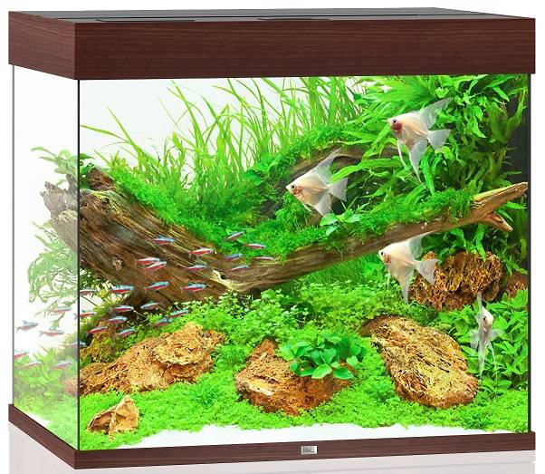Juwel Aquarium - Acuario Juwel Lido 200 LED madera oscura - L.76 x l.55 x H.65 cm