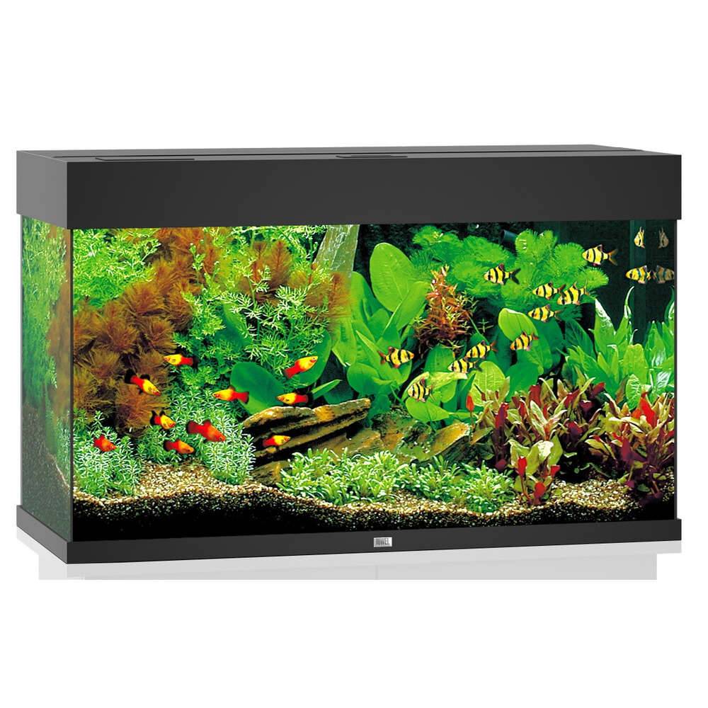 Aquarium LED Noir 125 L – JUWEL - Imagen 4