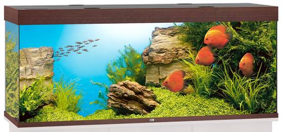 Juwel Aquarium - Aquarium RIO 400 Led brun - L.151 x l.51 x H.66 cm