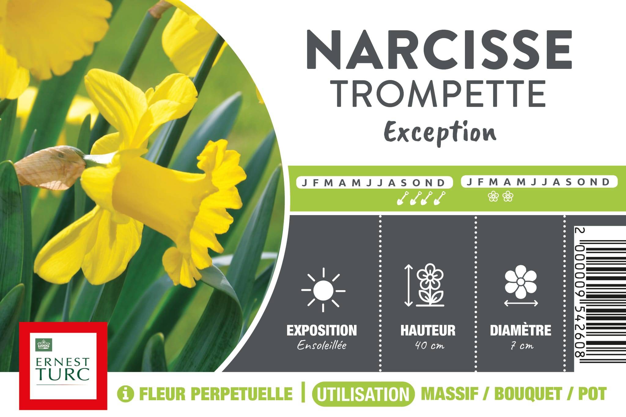 Ernest Turc - Ernest Turc - Bulbe de Narcisse Trompette Exception vrac x1
