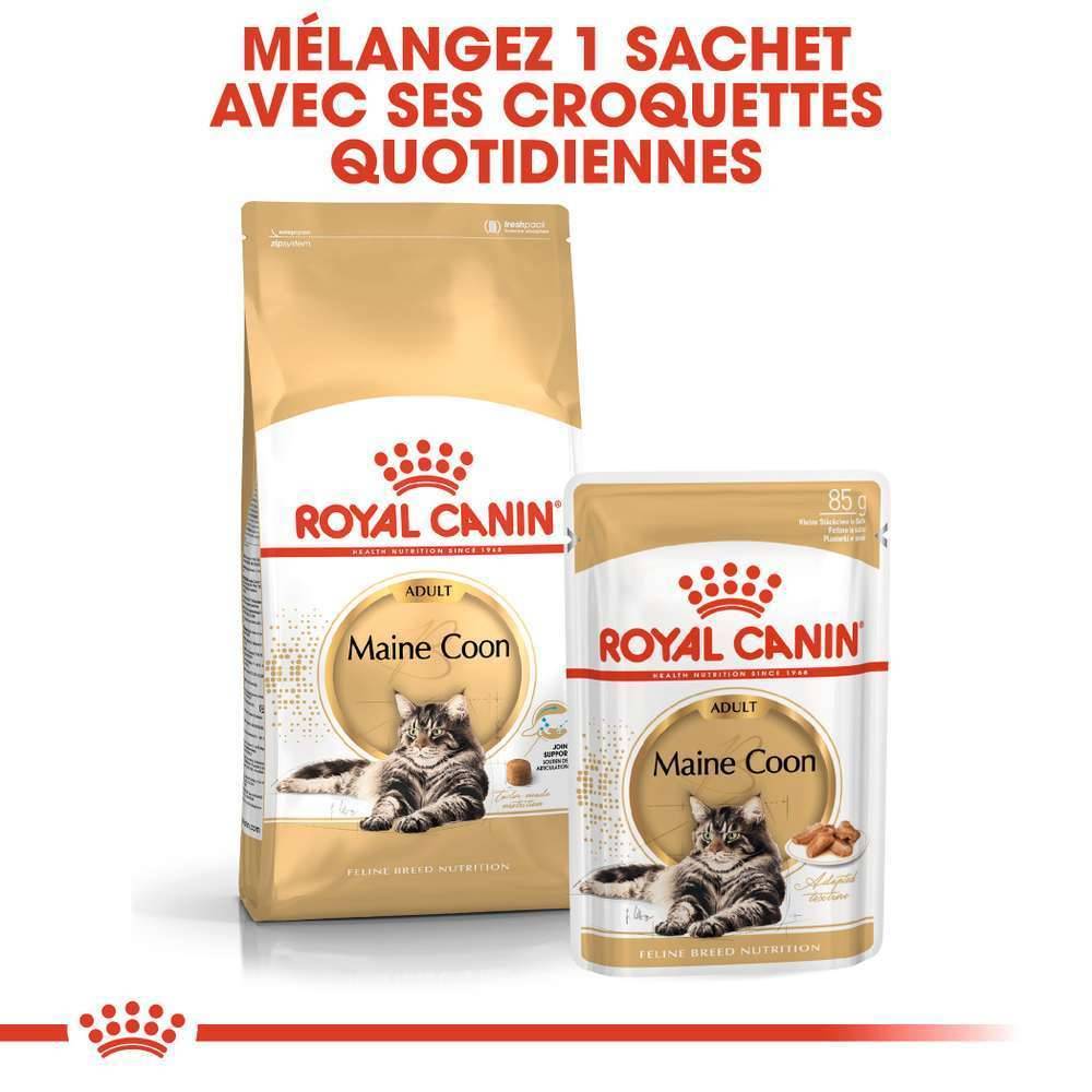 Royal Canin - Aliment chat Maine Coon Adulte - ROYAL CANIN - Imagen 6