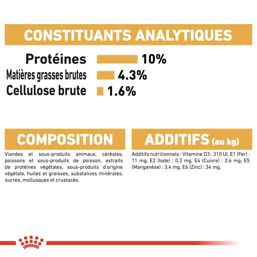 Royal Canin - Aliment chat Maine Coon Adulte - ROYAL CANIN - Imagen 4