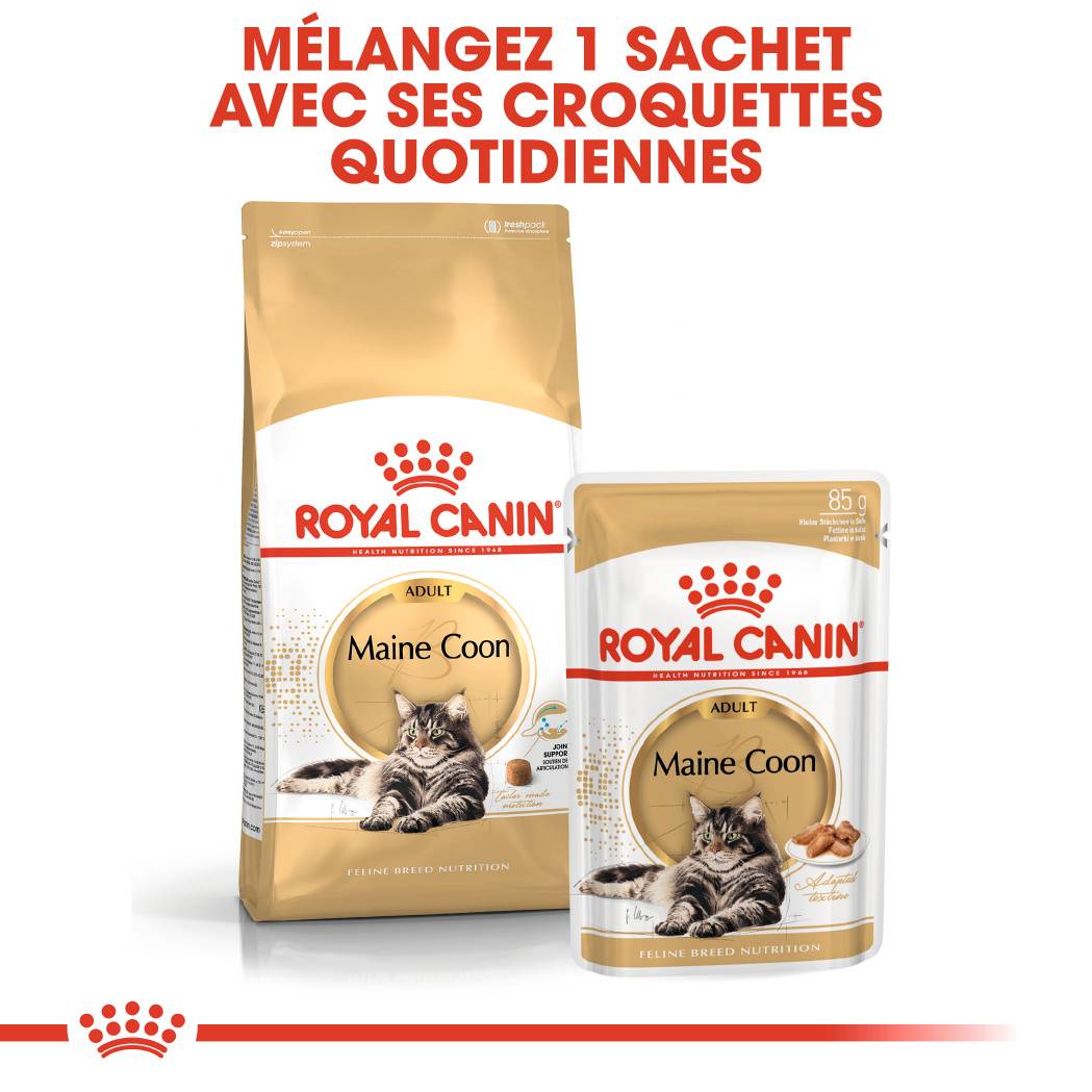 Royal Canin - Aliment chat Maine Coon Adulte - ROYAL CANIN - Imagen 7
