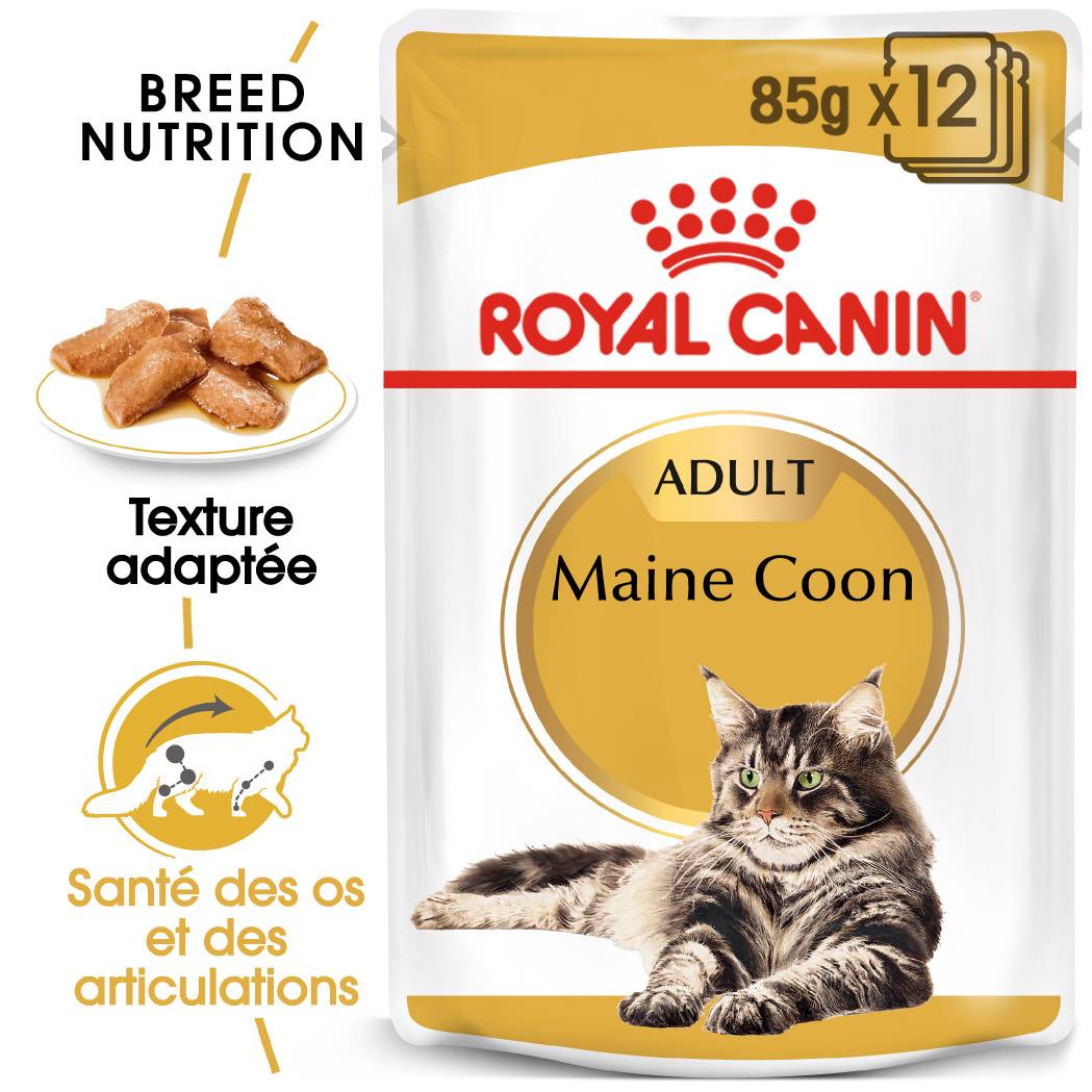 Royal Canin - Aliment chat Maine Coon Adulte - ROYAL CANIN - Imagen 9