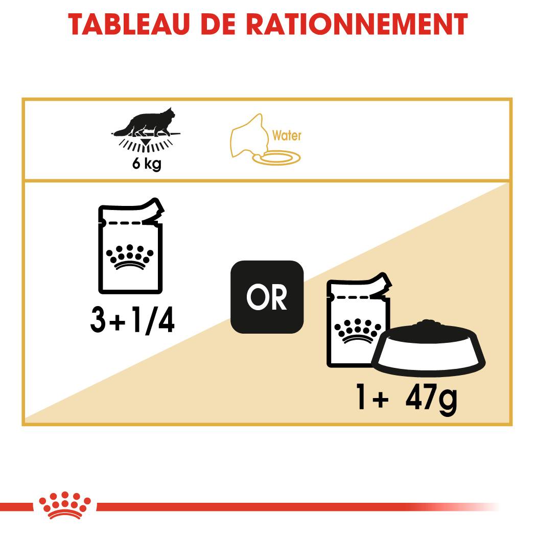 Royal Canin - Aliment chat Maine Coon Adulte - ROYAL CANIN - Imagen 10