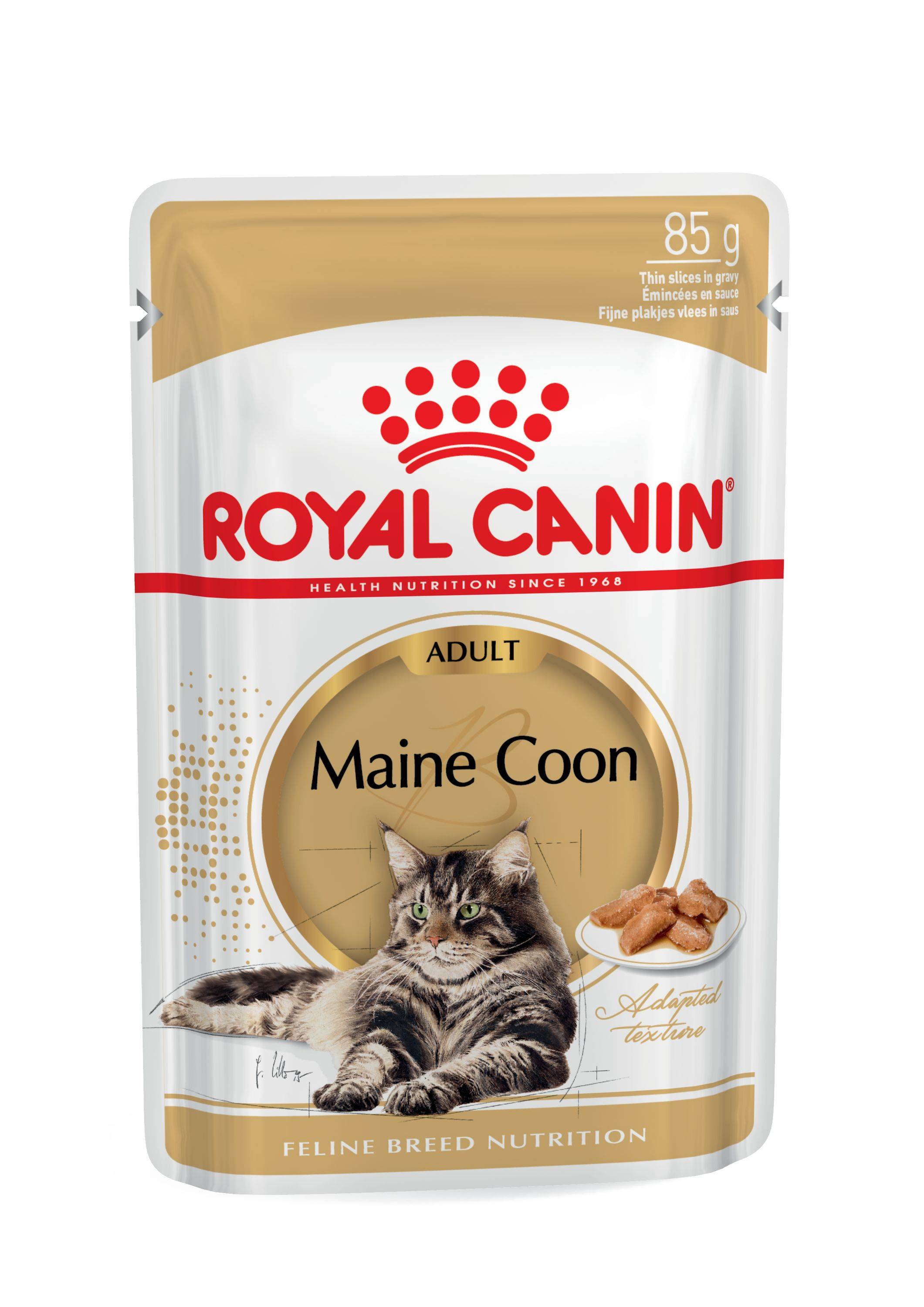 Royal Canin - Aliment chat Maine Coon Adulte - ROYAL CANIN - Imagen 15