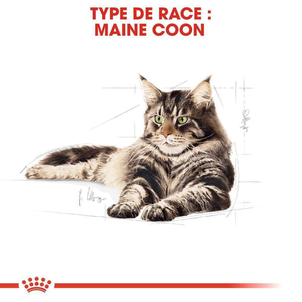 Royal Canin - Aliment chat Maine Coon Adulte - ROYAL CANIN - Imagen 22