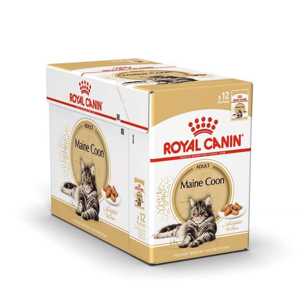 Royal Canin - Aliment chat Maine Coon Adulte - ROYAL CANIN - Imagen 20