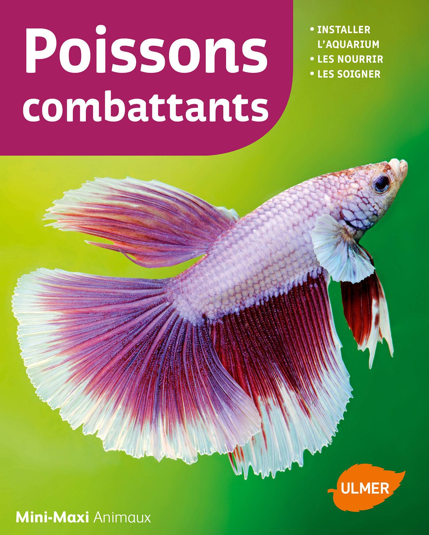 Ulmer - Poissons combattants